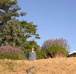 San Juan Islands_ Hiking at the Rosario _17_