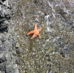 San Juan Islands_ Hiking at the Rosario _1_