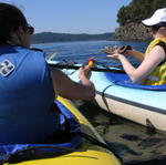 San Juan Islands_ Kayaking from Deer Harbor _17_