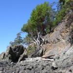 San Juan Islands_ Kayaking from Deer Harbor _20_