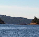 San Juan Islands_ Kayaking from Deer Harbor _22_