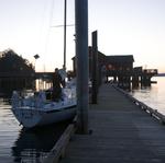 IMG_4751.jpg
