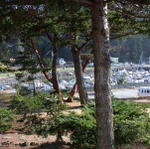DSCN6597