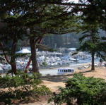 DSCN6598