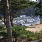 DSCN6599