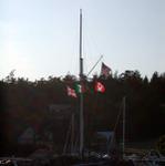 DSCN6042