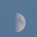 DSCN6060