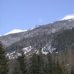 DSCN5967