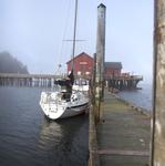 IMG_4754.jpg
