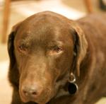 IMG_3861