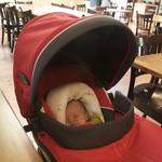 The Early Bird at Vios