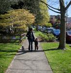 A Walk Around Greenlake