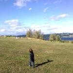 Kite Flying