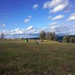 IMG_20110925_162345.jpg
