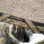 Oct_15_2011_5252.jpg