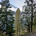 IMG_20111015_113450.jpg