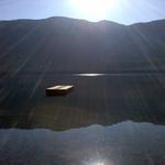 IMG_20111015_151424.jpg