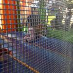 IMG_20111015_162452.jpg