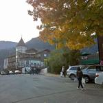 IMG_20111015_164914.jpg