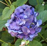 IMG_3490.jpg