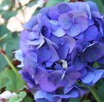 IMG_3493.jpg