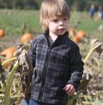 Pumpkin Picking