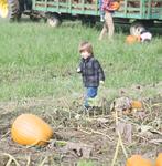 IMG_5764.jpg