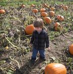 IMG_5769.jpg