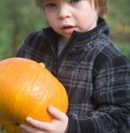 IMG_5786.jpg