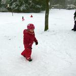 IMG_0269.jpg