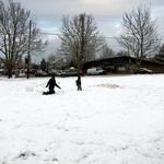IMG_0250.jpg