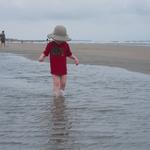 IMG_0662.jpg