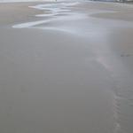 IMG_0659.jpg