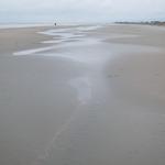 IMG_0658.jpg