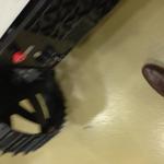 20121004-092448-iPhone_003.JPG