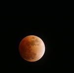 IMG_1112