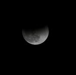 IMG_1160
