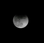 IMG_1166