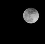 IMG_1174