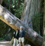 Mom and Dad In Seattle - July 08