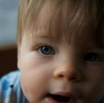 IMG_4266.jpg