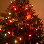 DSCN5280
