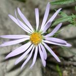 DSCN1347