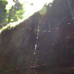 DSCN1360