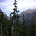 DSCN1363