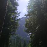 DSCN1376