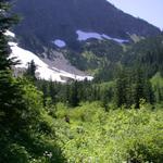 DSCN1378