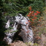 DSCN4953