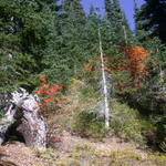 DSCN4954