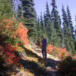 DSCN4957